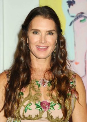 Brooke Shields - Take Home a Nude Annual Auction and Dinner in NY