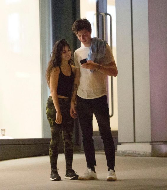 Camila Cabello and Shawn Mendes out in Montreal