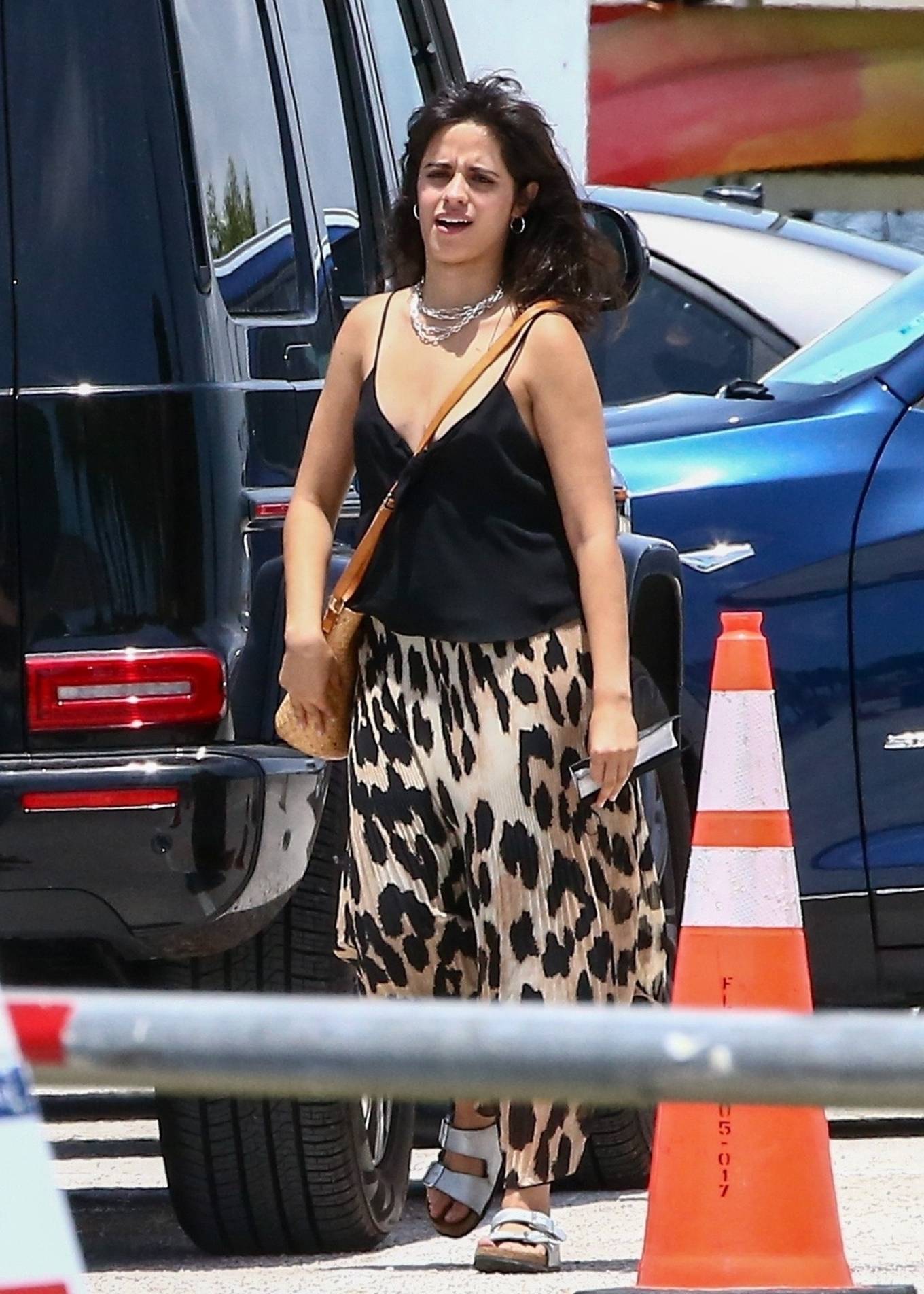 Camila Cabello â€“ Out in Miami