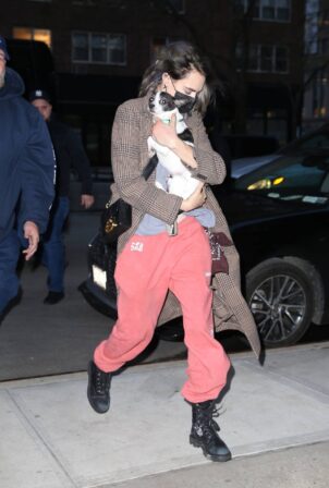 Cara Delevingne - Carrying her dog at The Greenwich Hotel in New York