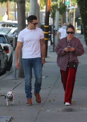 Cara Santana and Jesse Metcalfe with dogs out in Los Angeles