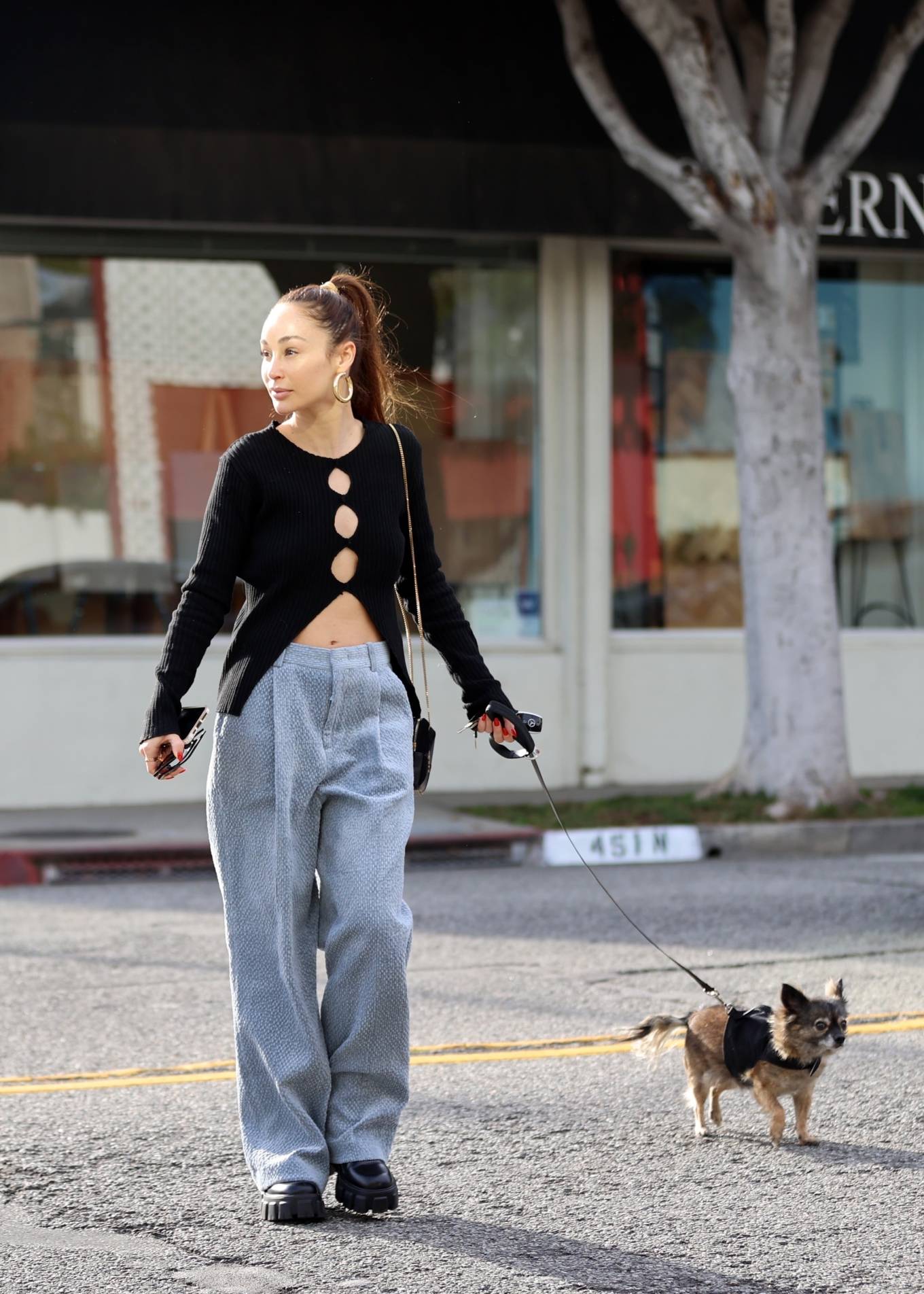 Cara Santana 2022 : Cara Santana – Heading to a hair salon with her adorable dog in Los Angeles-01