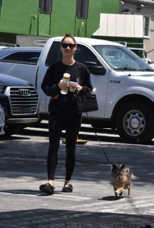 Cara Santana - Walk to the gym in West Hollywood
