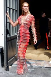 Celine Dion in a Crinkle Mesh Dress - Out in Paris