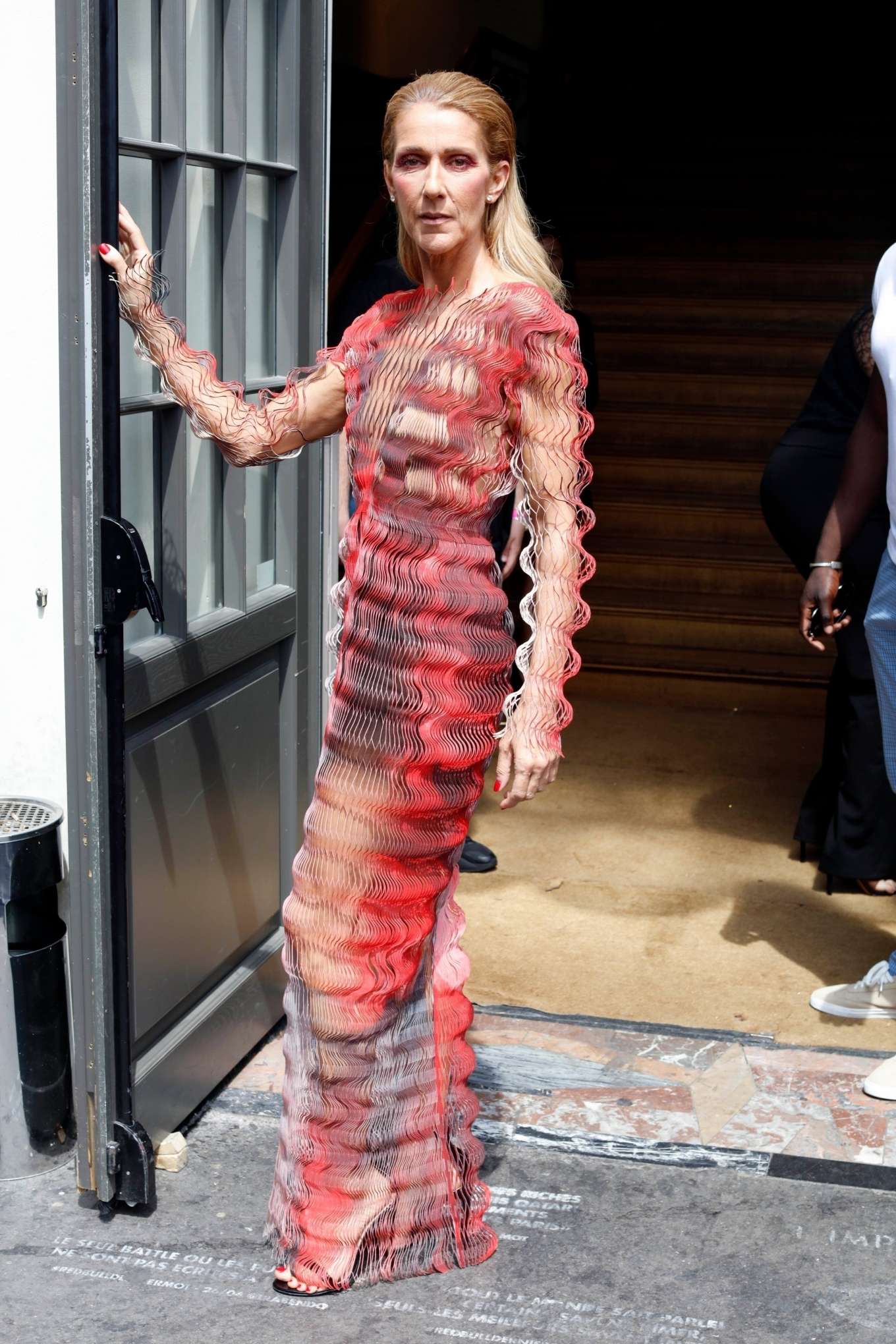 Celine Dion in a Crinkle Mesh Dress-11 | GotCeleb