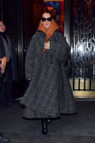 Celine Dion - Leaving her hotel in New York City