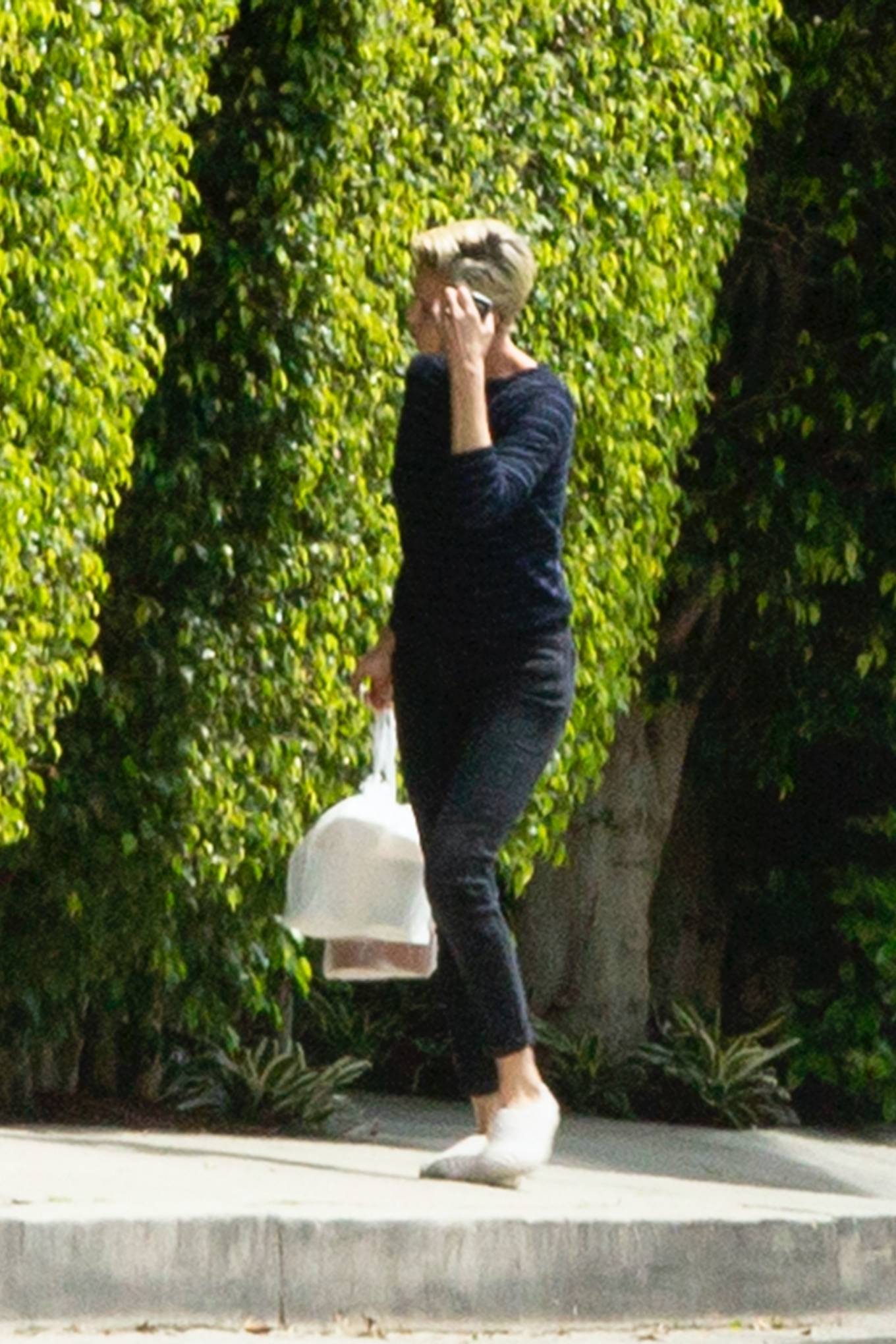 Charlize Theron â€“ Take her delivery outside her home in Los Angeles