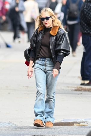 Chloe Sevigny - Out in New York