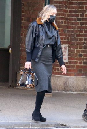 Chloe Sevigny - Seen with her family in New York
