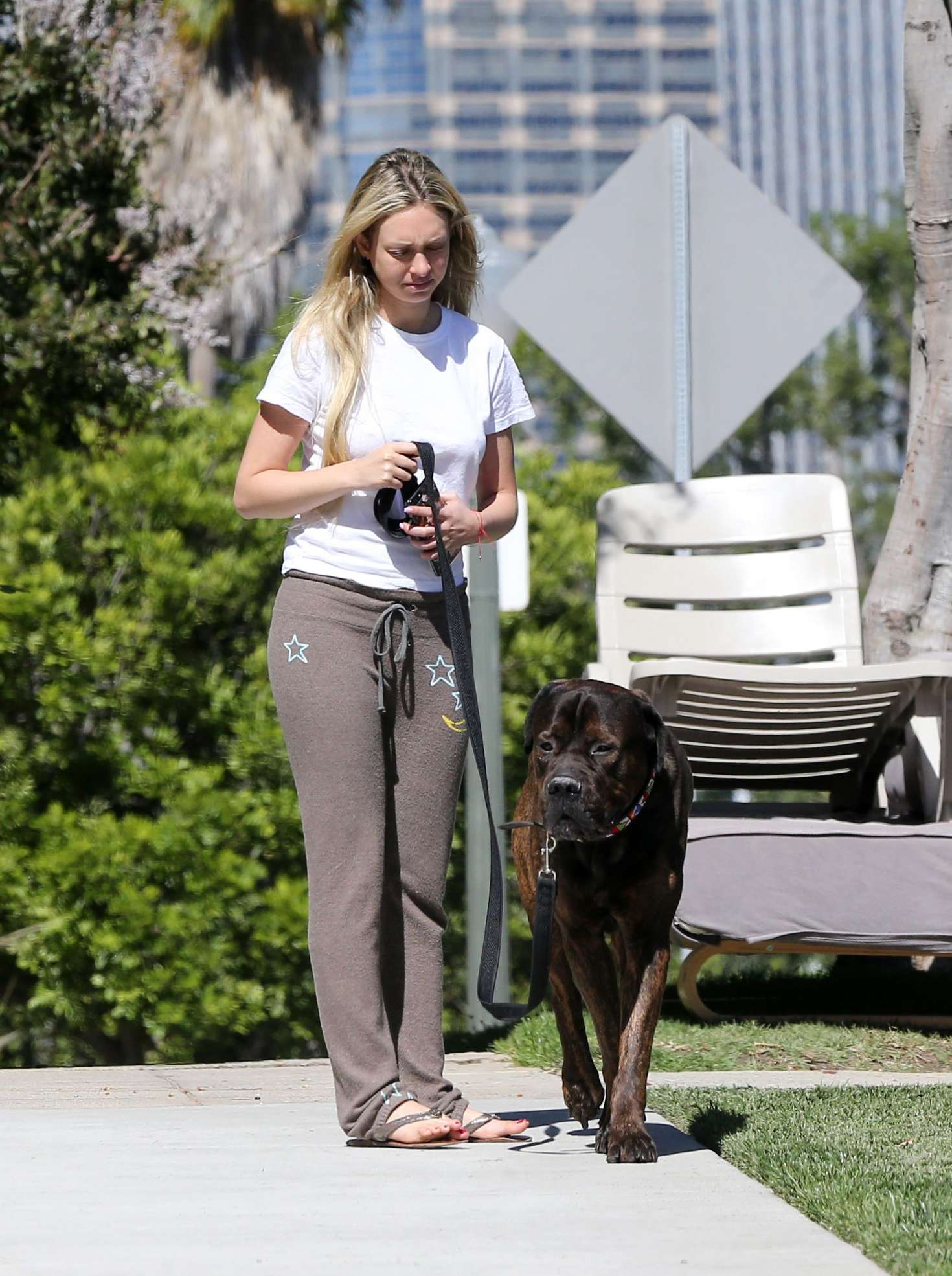 Corinne Olympios Walks Her dog -04 | GotCeleb