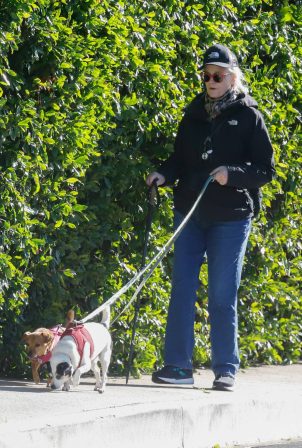 Cybill Shepherd - Out for a walk with her dogs in Los Angeles