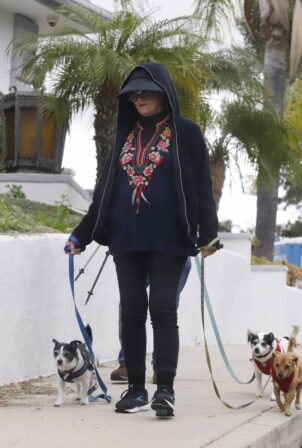 Cybill Shepherd - Walk her 3 dogs in Los Angeles