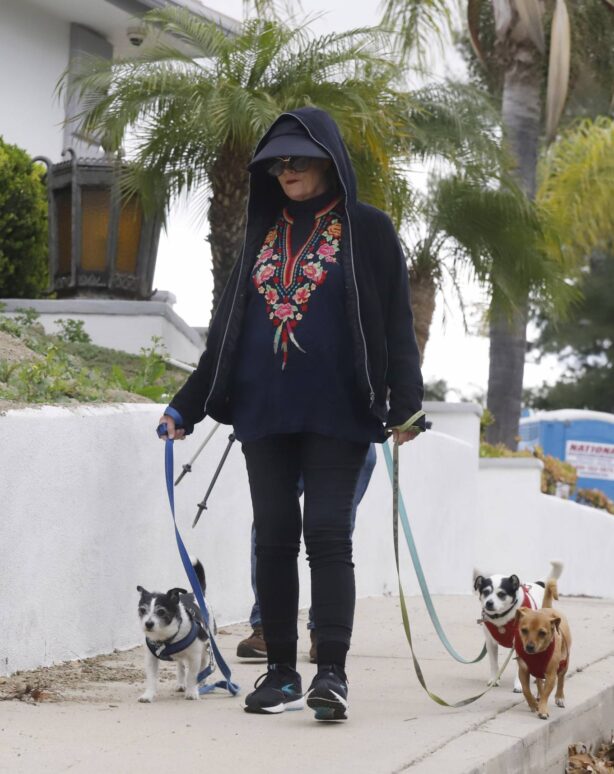 Cybill Shepherd - Walk her 3 dogs in Los Angeles