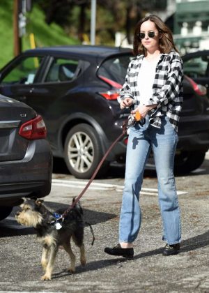 Dakota Johnson in Jeans Walks Her dog out in Los Angeles