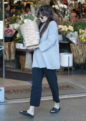 Dakota Johnson - Out in West Hollywood