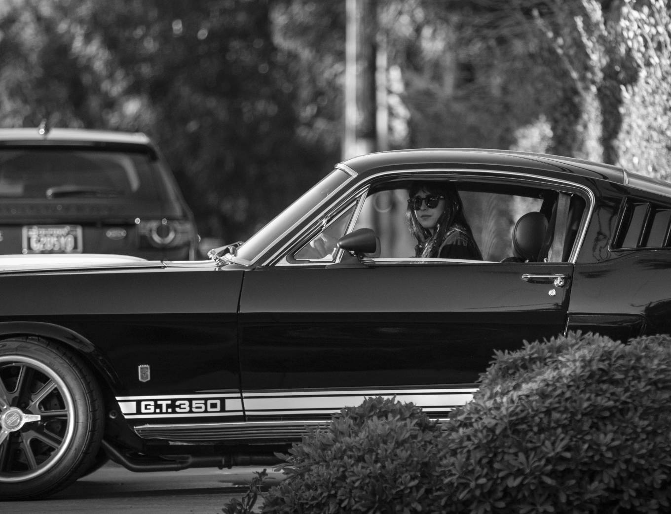 Dakota Johnson – Seen in her Mustang GT 350 in Malibu