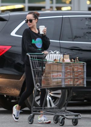 Dakota Johnson - Shopping in Los Angeles