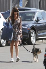 Dakota Johnson - Shopping with her dog in Los Angeles