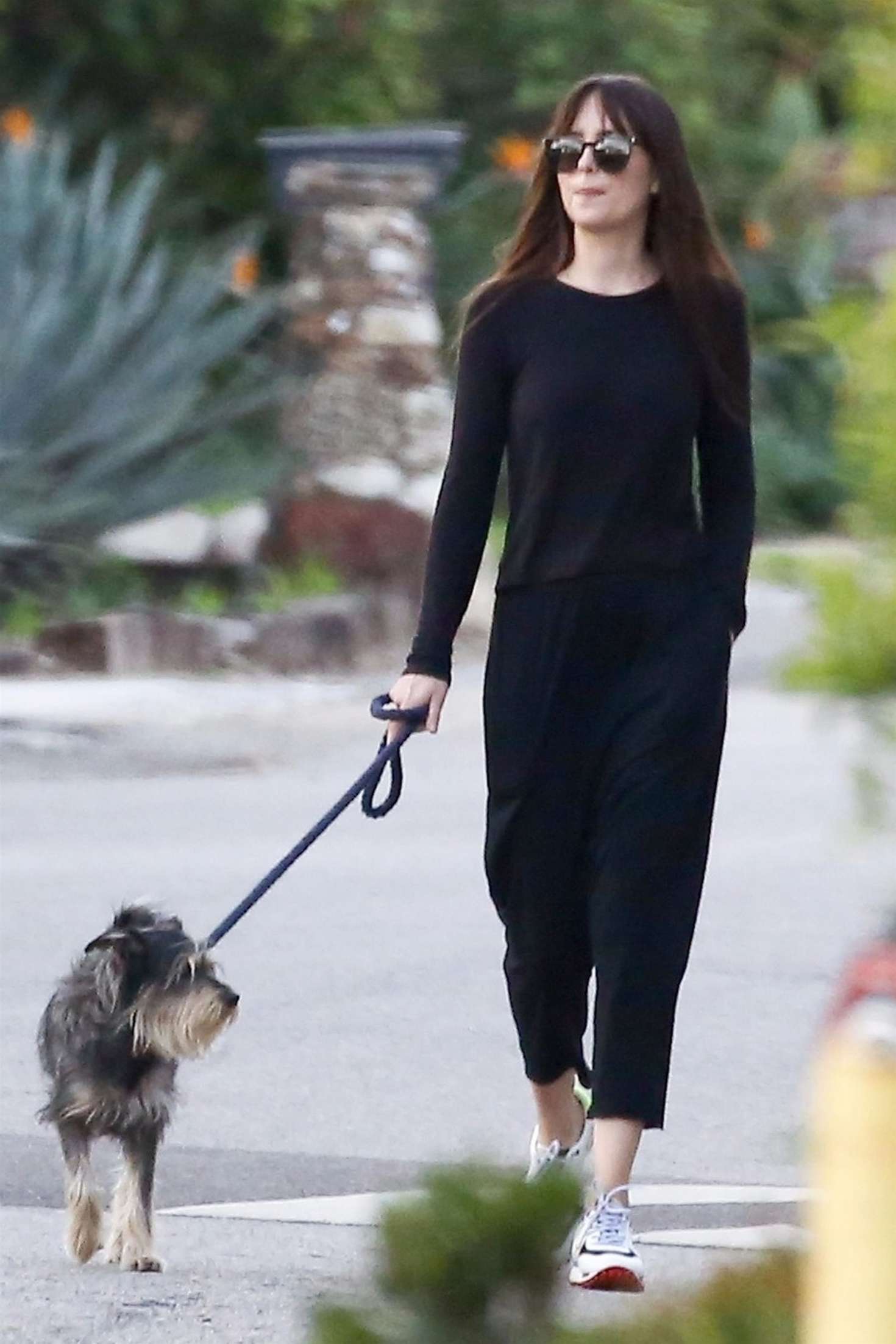 Dakota Johnson 2019 : Dakota Johnson: Takes her dog for a walk -01