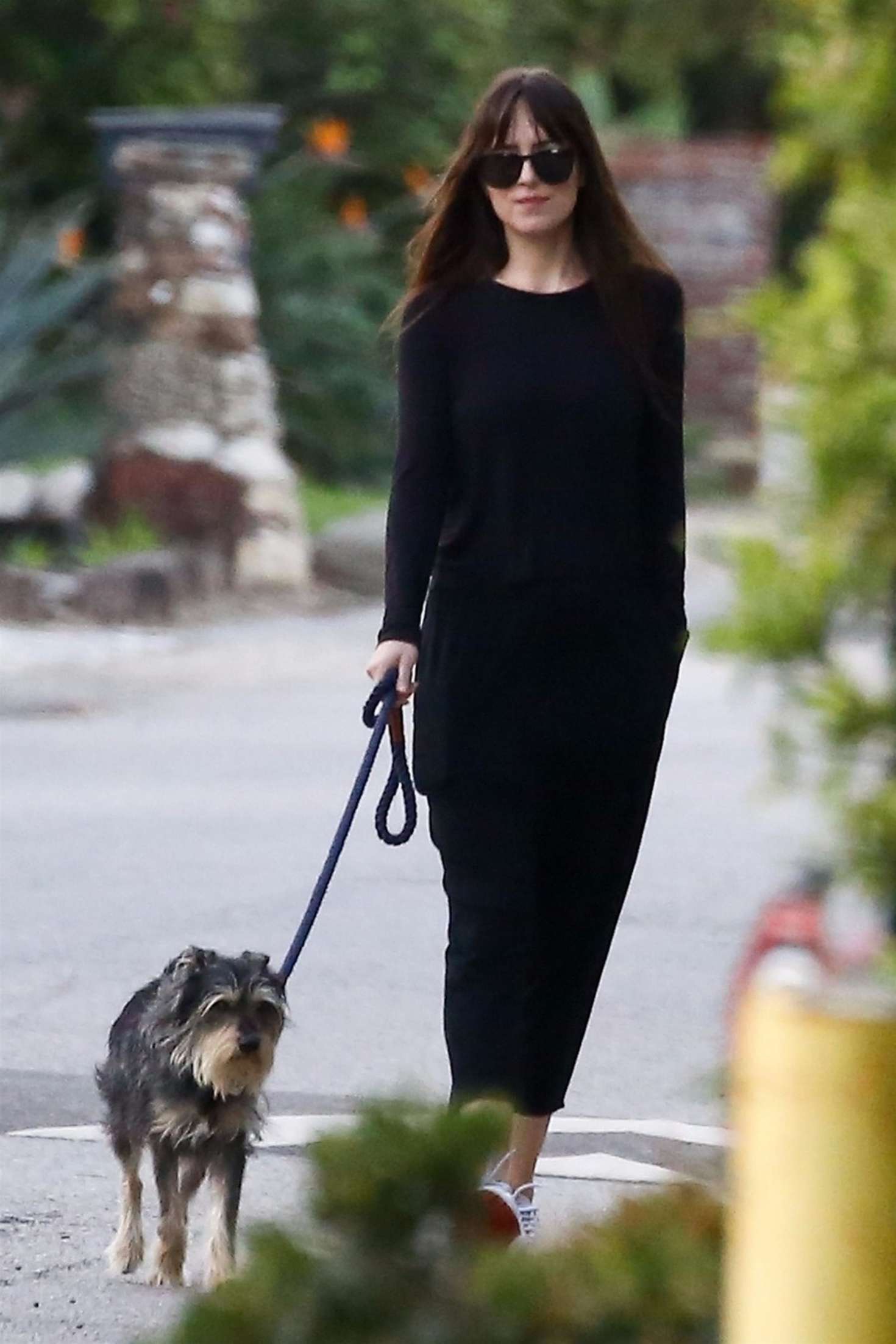 Dakota Johnson 2019 : Dakota Johnson: Takes her dog for a walk -03