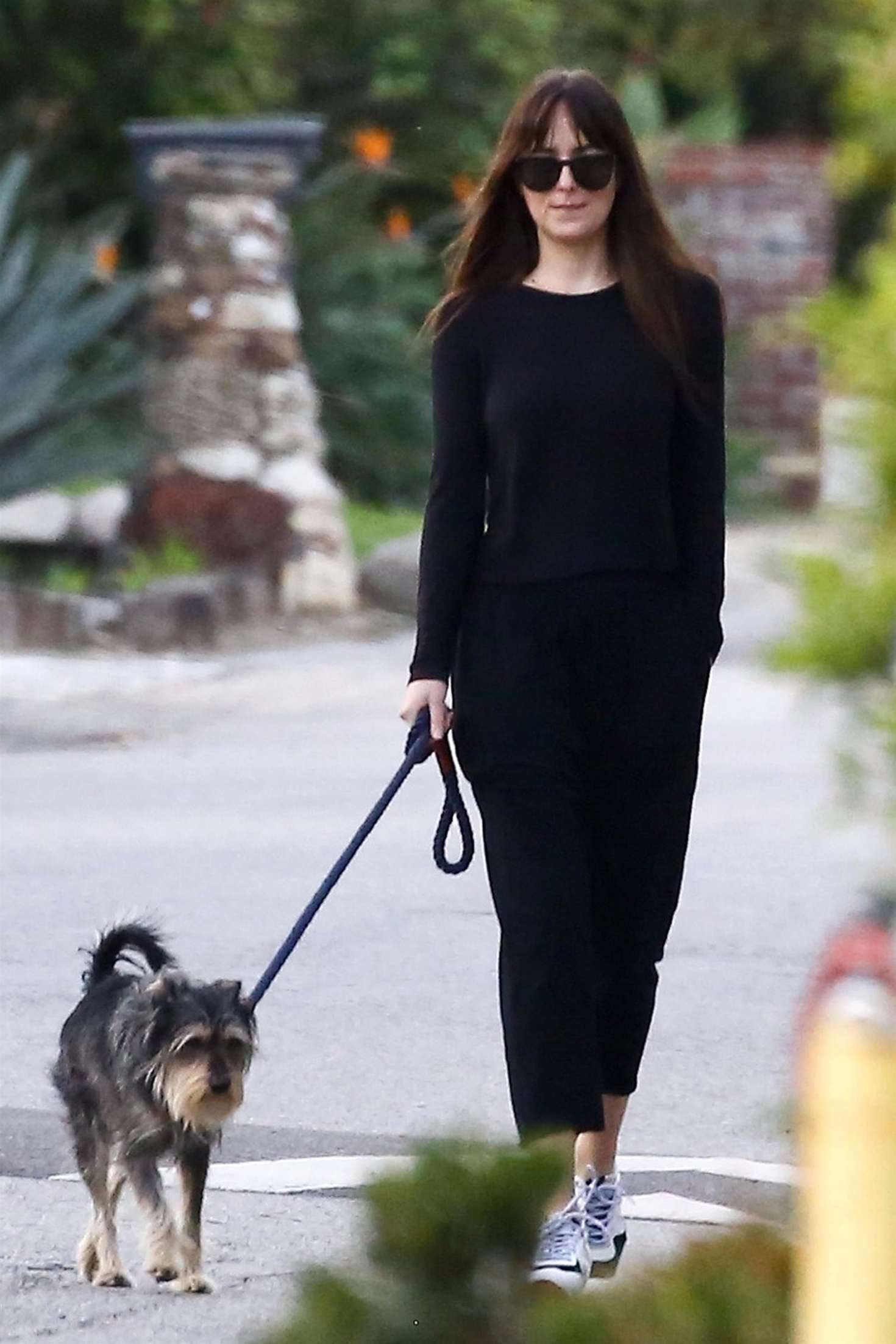 Dakota Johnson 2019 : Dakota Johnson: Takes her dog for a walk -06