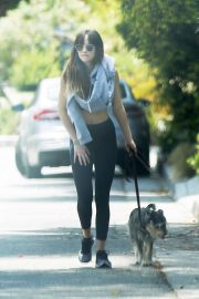 Dakota Johnson - Walking her dog in Hollywood