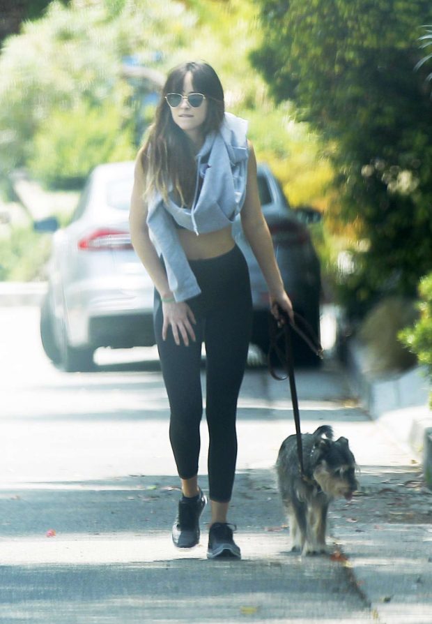 Dakota Johnson - Walking her dog in Hollywood