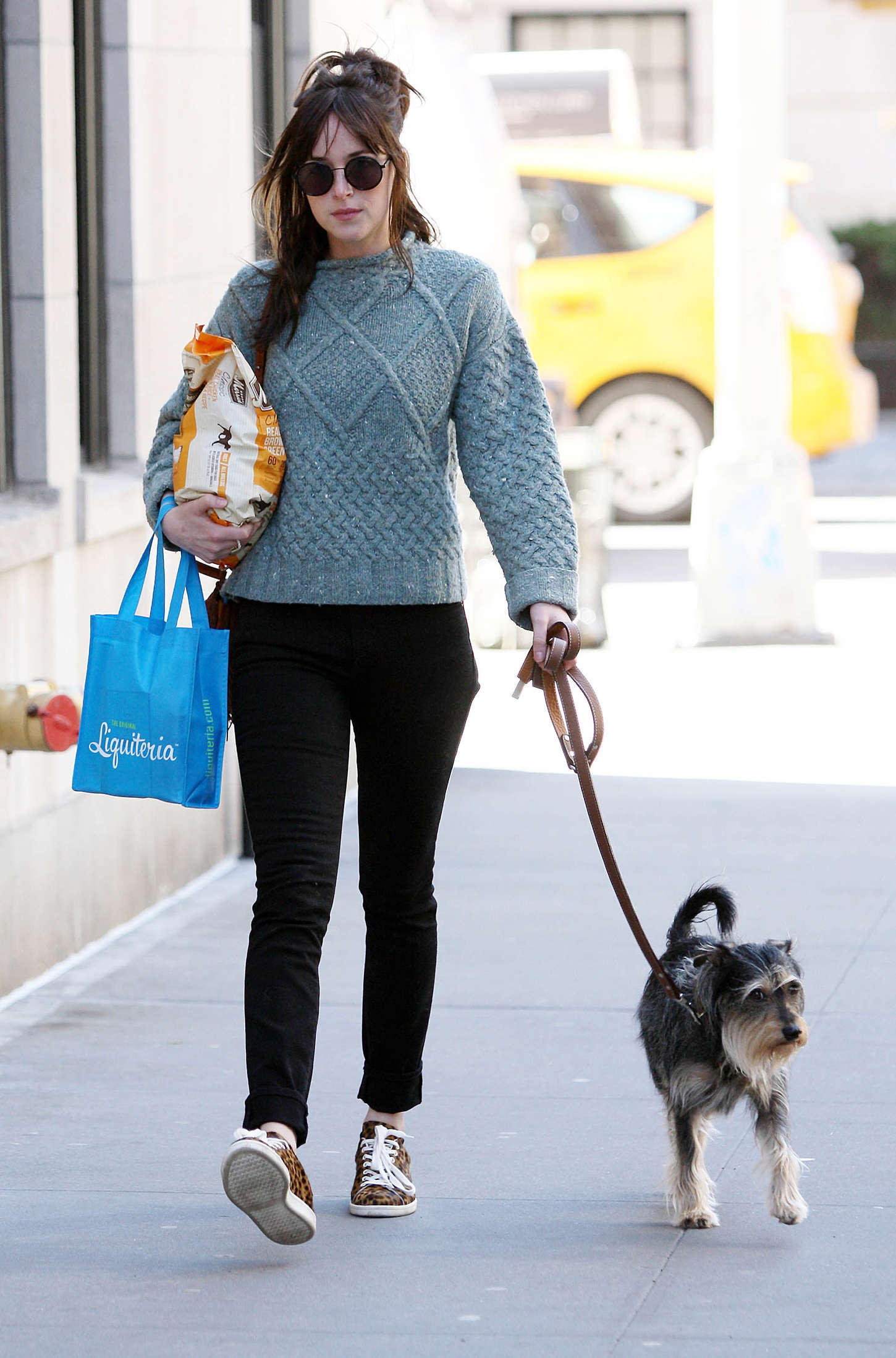 Dakota Johnson - Walking her dog in NYC