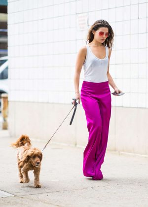 Danielle Campbell with her dog out in New York City