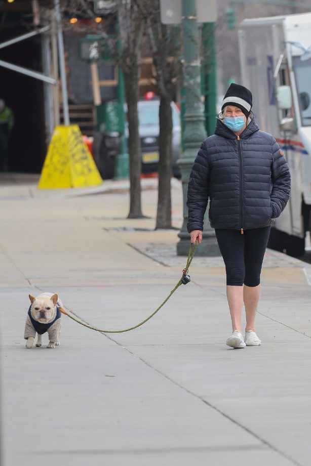 Deborra-Lee Furness - Seen with her dog in West Village