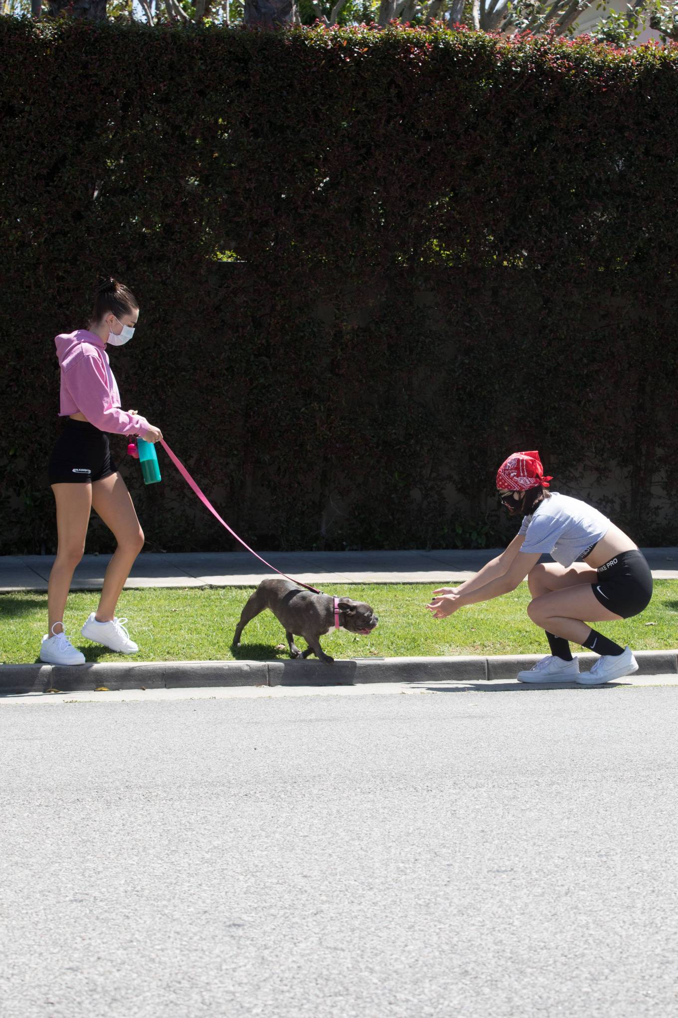 Delilah Belle and Amelia Gray Hamlin â€“ Out for a dog walk in Beverly Hills