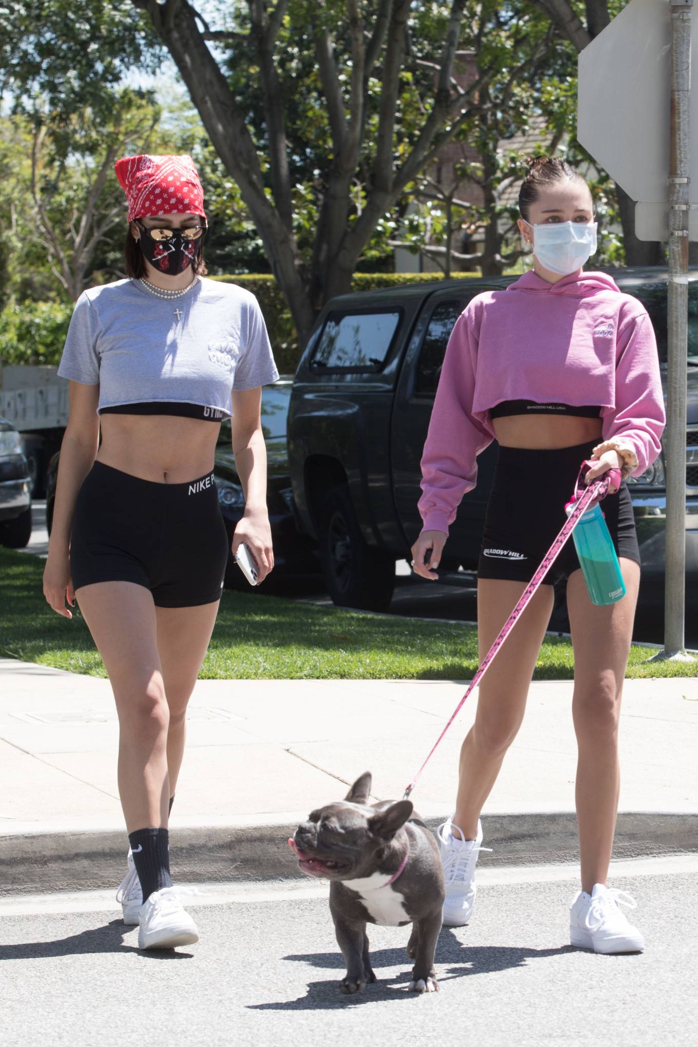 Delilah Belle and Amelia Gray Hamlin â€“ Out for a dog walk in Beverly Hills