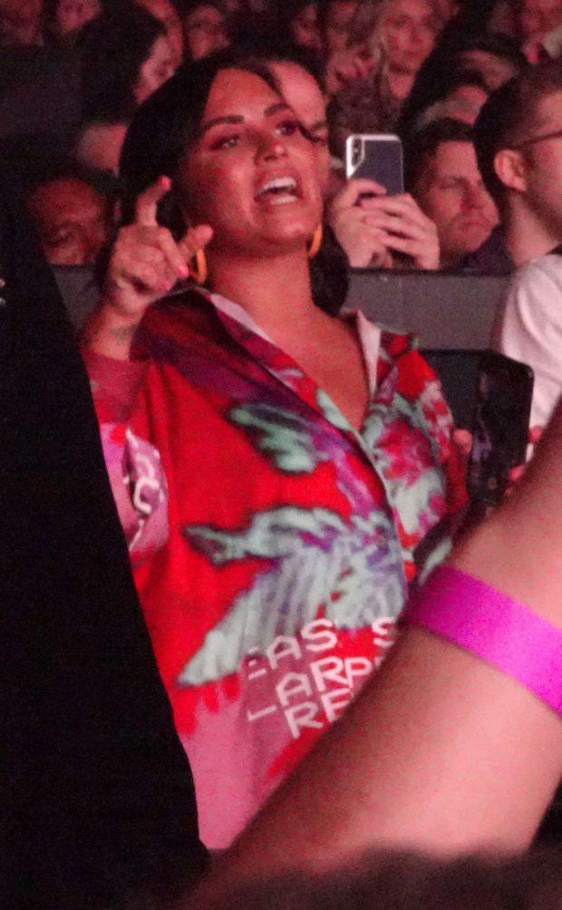 Demi Lovato -  Spotted at Christina Aguilera concert in Las Vegas