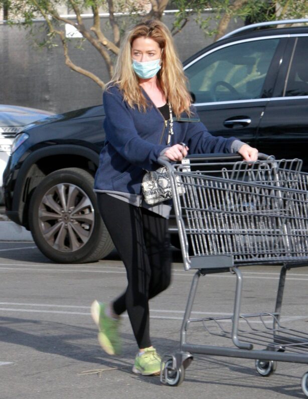 Denise Richards - Grocery shopping in Woodland Hills