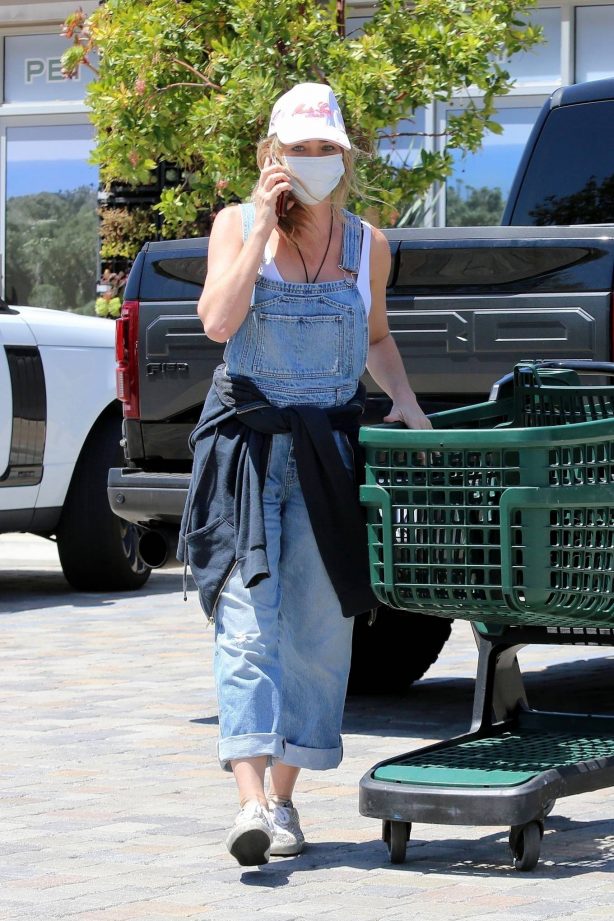 Denise Richards - Shopping at her local Whole Foods in Malibu