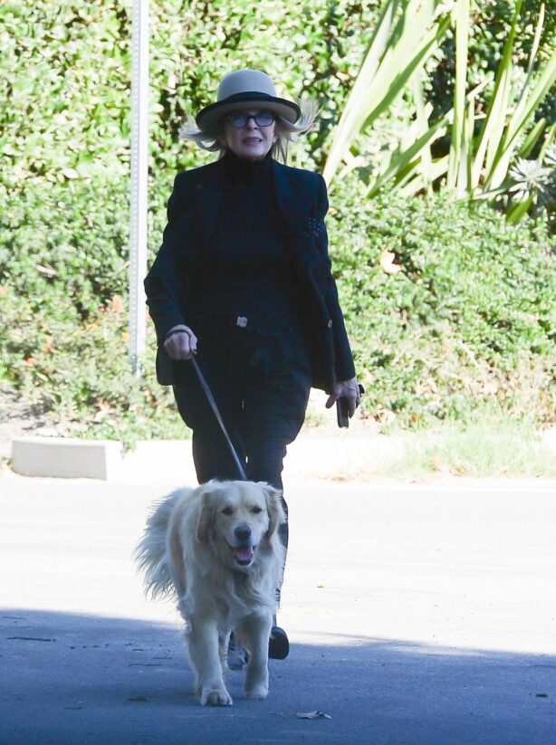Diane Keaton - Out for a dog walk in Los Angeles