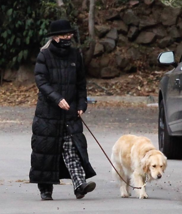 Diane Keaton - Out in a pajamas for a dog walk in Brentwood