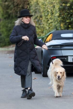 Diane Keaton - Seen walking her dog in Brentwood