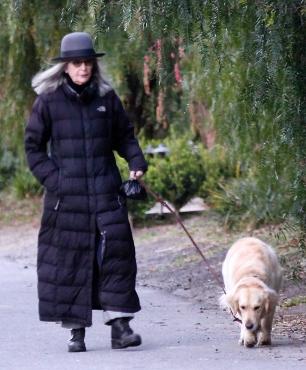 Diane Keaton - Takes her puppy Reggie out for a stroll in Brentwood