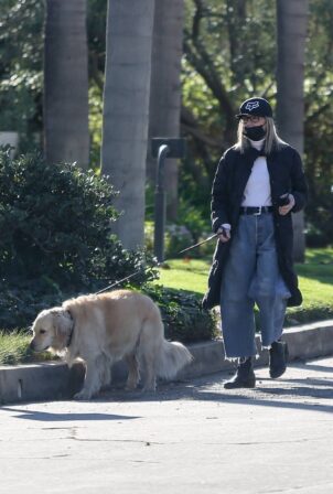 Diane Keaton - Walking her dog Reggie in Brentwood