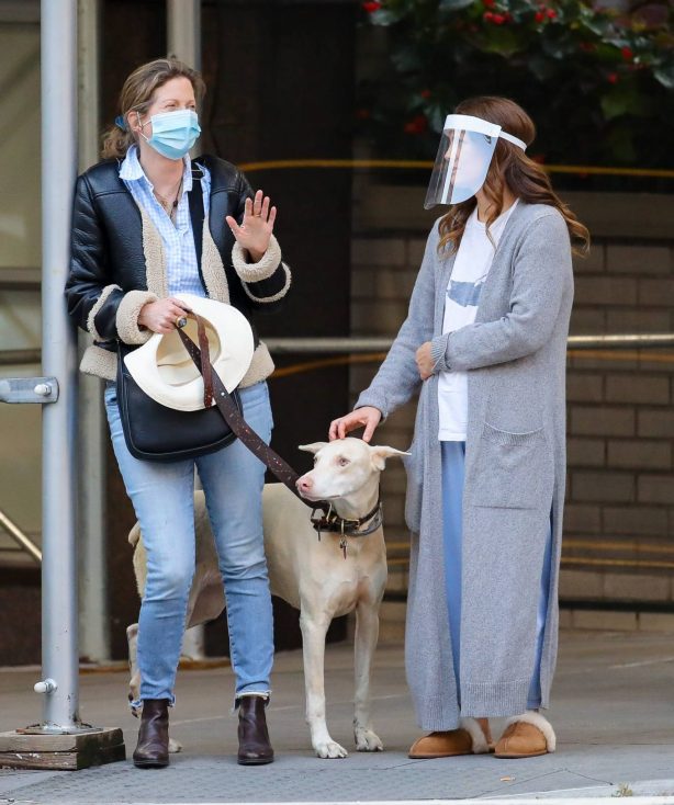 Drew Barrymore - Rescue of a New Yorker whose dog the victim of a car hit-and-run