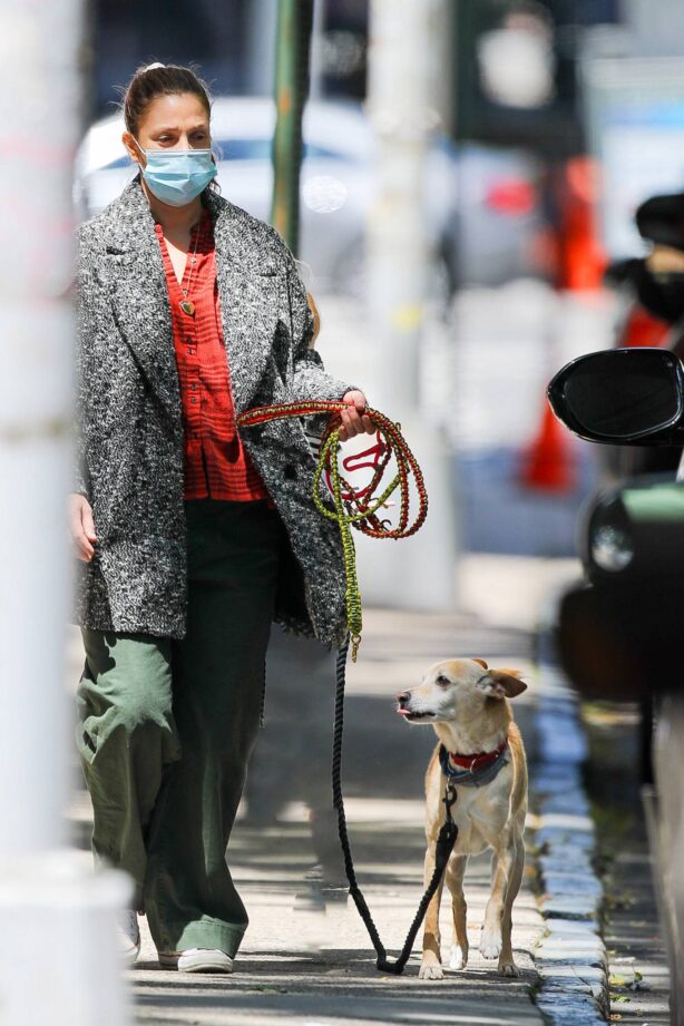 Drew Barrymore - Seen with her dog while out and about in New York