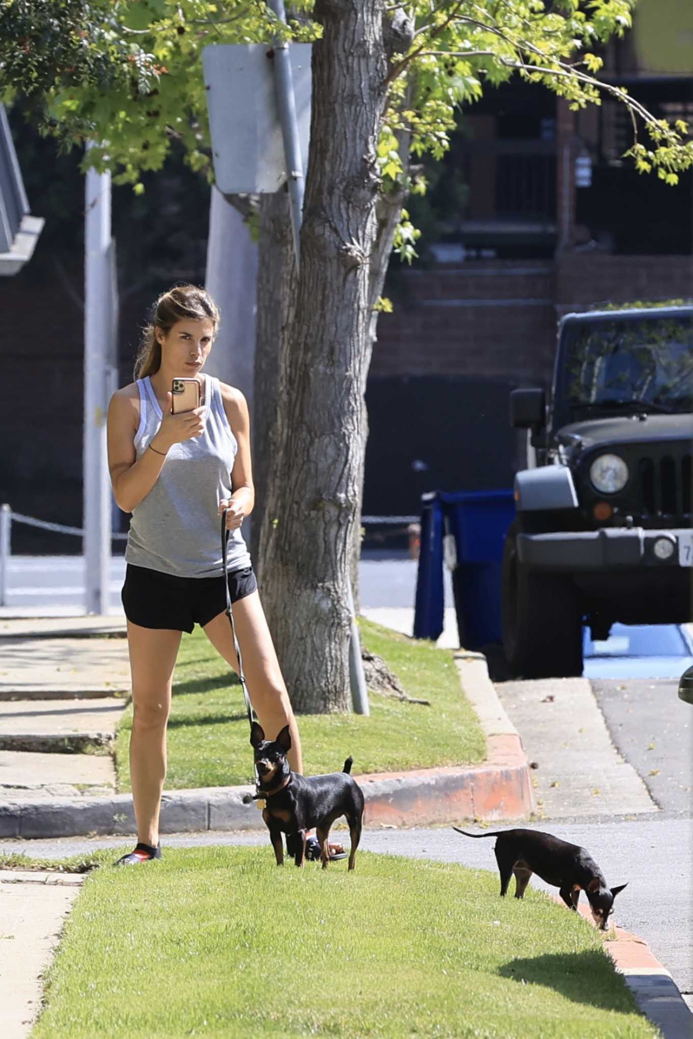 Elisabetta Canalis takes her two dogs for a walk in Los Angeles