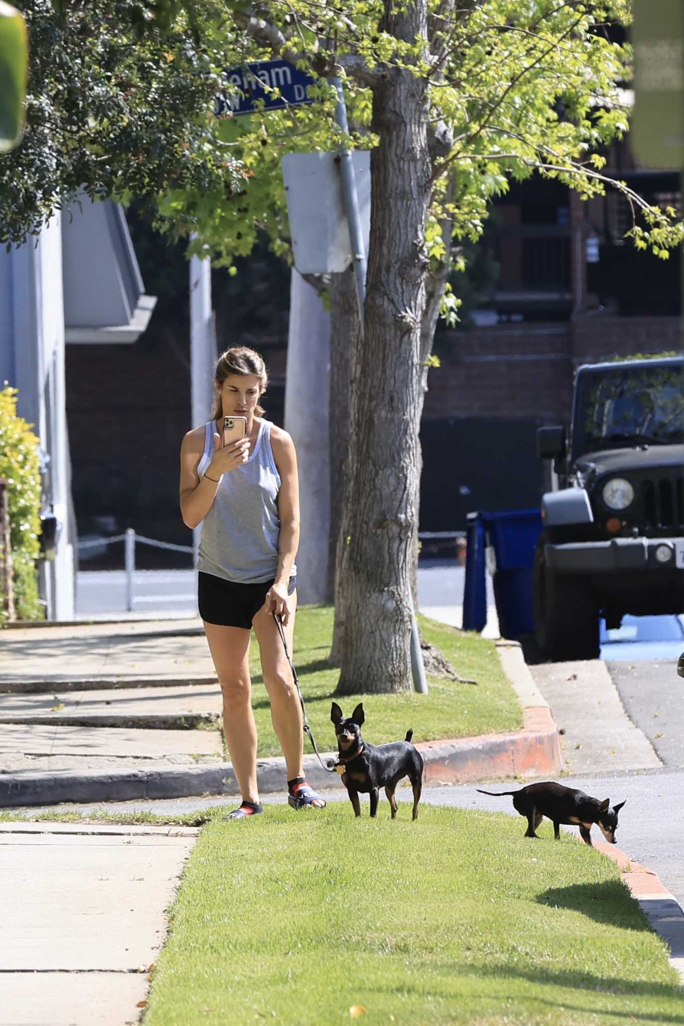 Elisabetta Canalis takes her two dogs for a walk in Los Angeles
