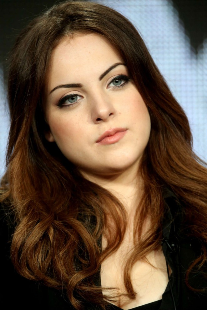 Elizabeth Gillies - "Sex & Drugs & Rock & Roll" Panel at the TCA Press Tour in Pasadena