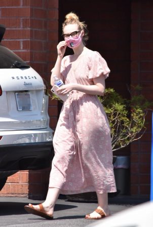 Elle Fanning and Dakota taking their dog to the Veterinary