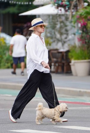 Ellen Barkin - Seen taking her dog on a walk in New York