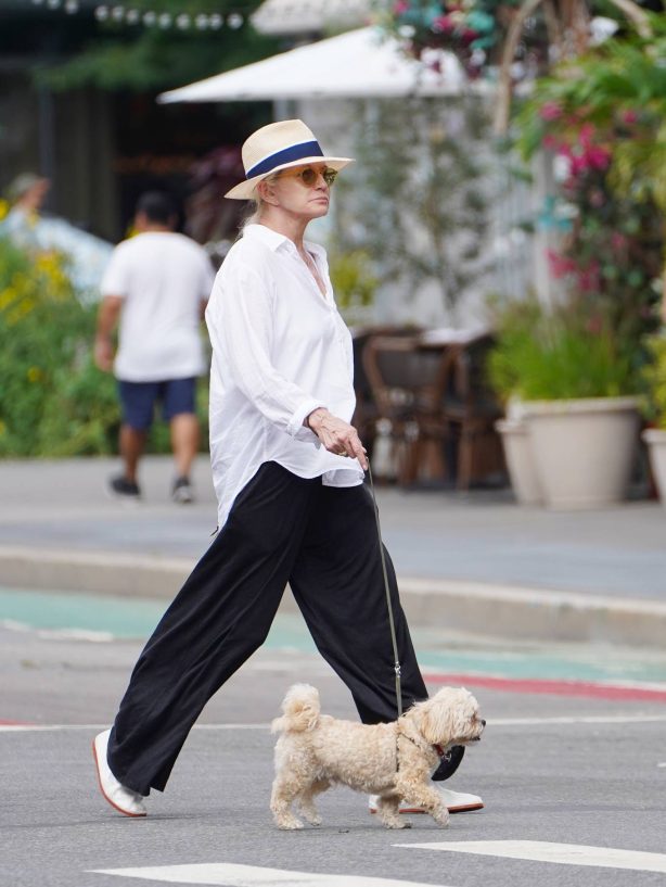Ellen Barkin - Seen taking her dog on a walk in New York