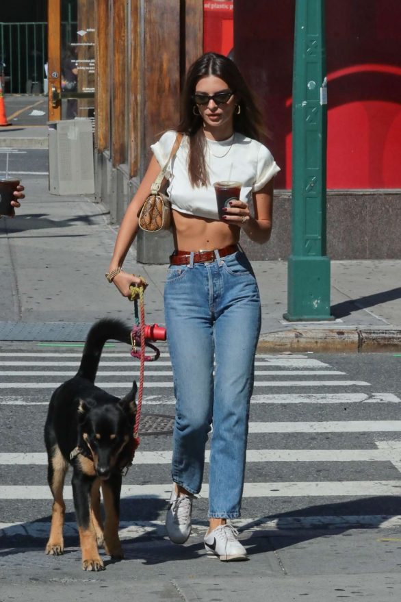 Emily Ratajkowski in Jeans - Walking her dog in New York
