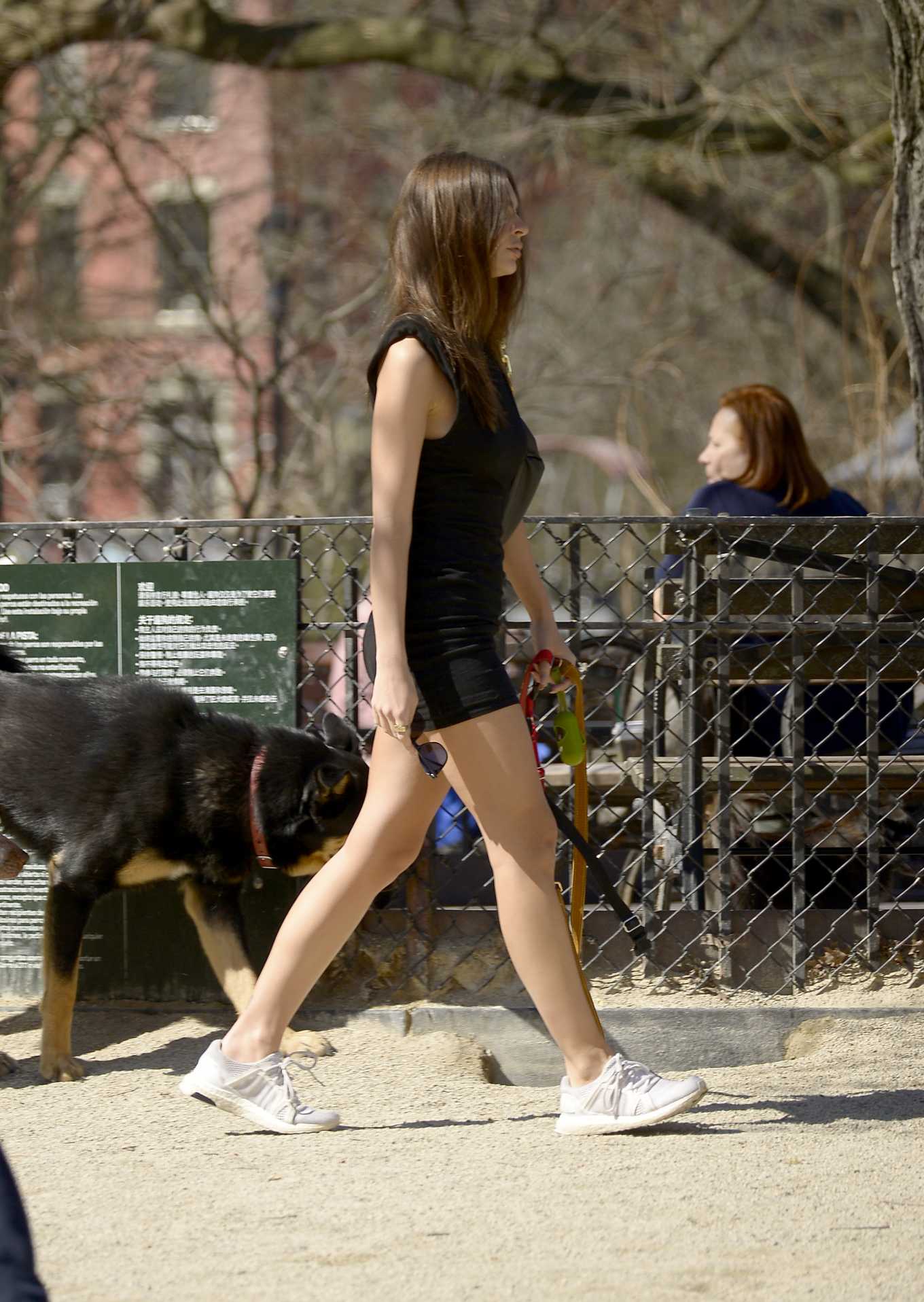 Emily Ratajkowski in Mini Black Dress â€“ Walking her dog in NYC